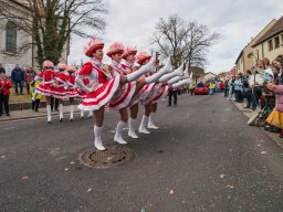 Faschingszug Diesenbach 2025_70